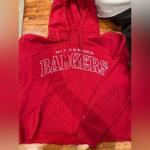 Wisconsin badgers cropped hoodie